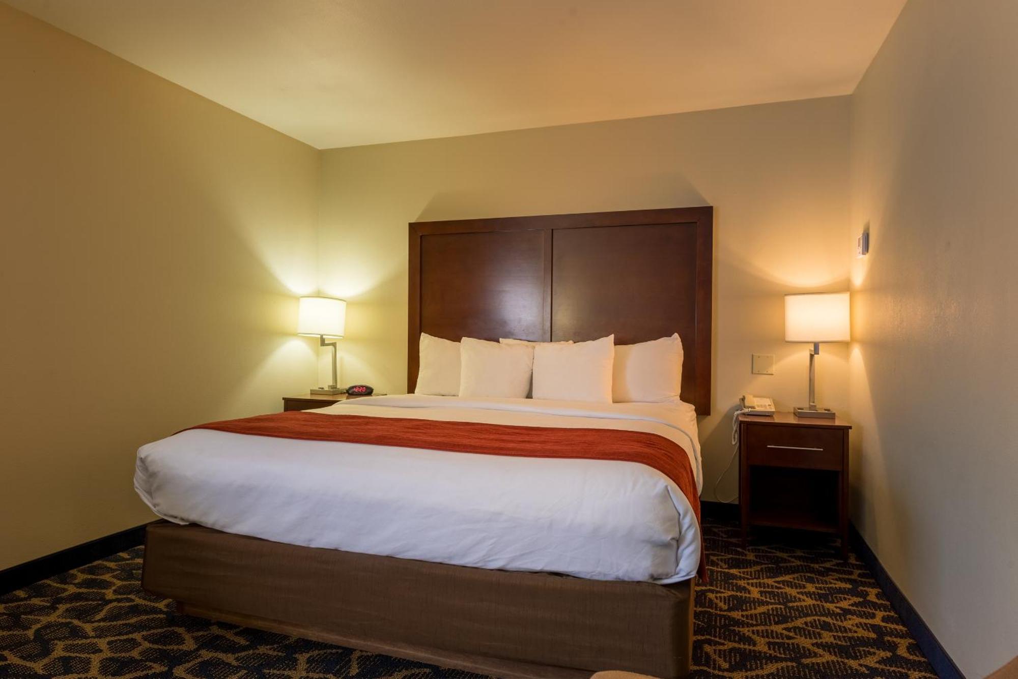 Comfort Inn & Suites Аламоса Екстер'єр фото