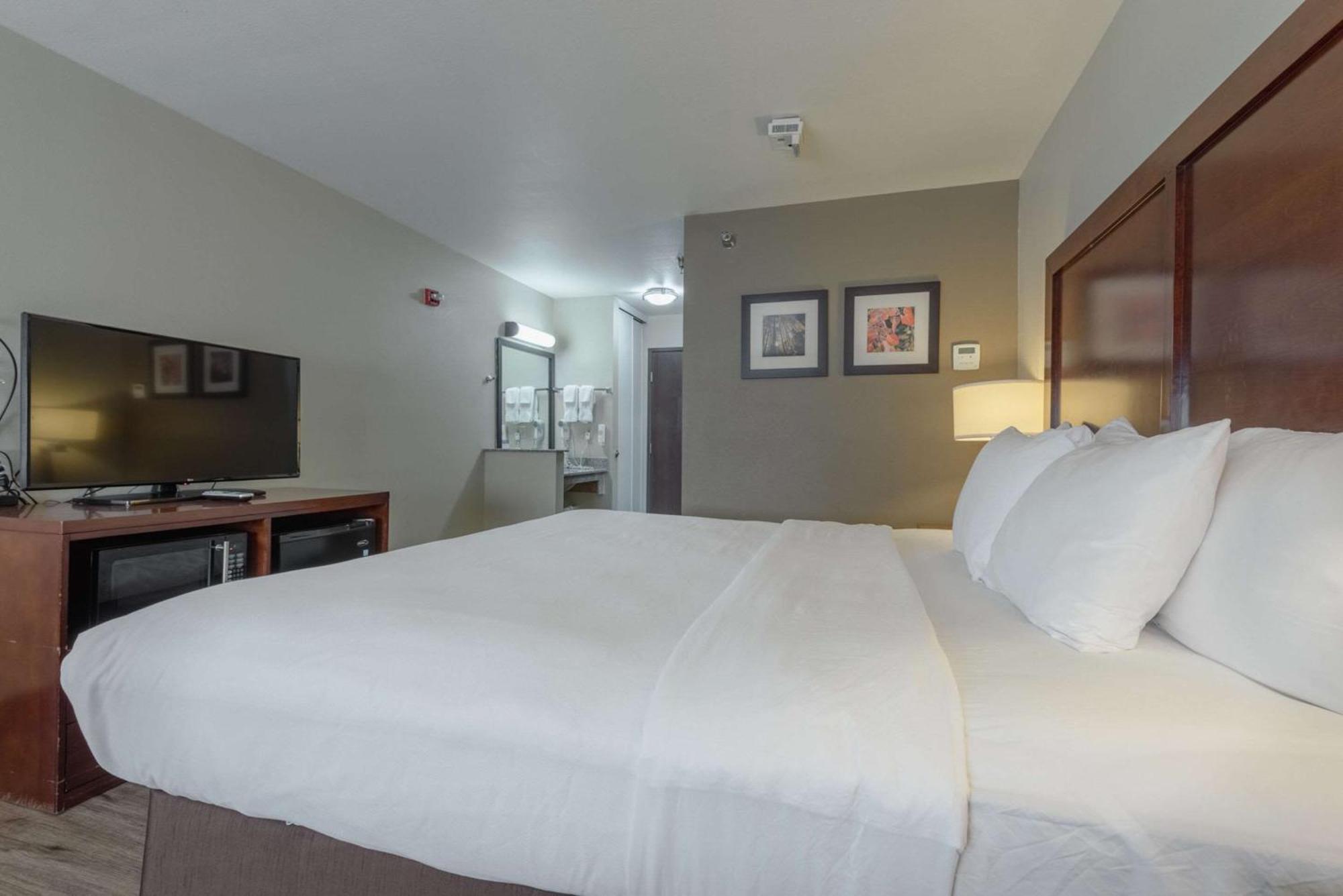 Comfort Inn & Suites Аламоса Екстер'єр фото
