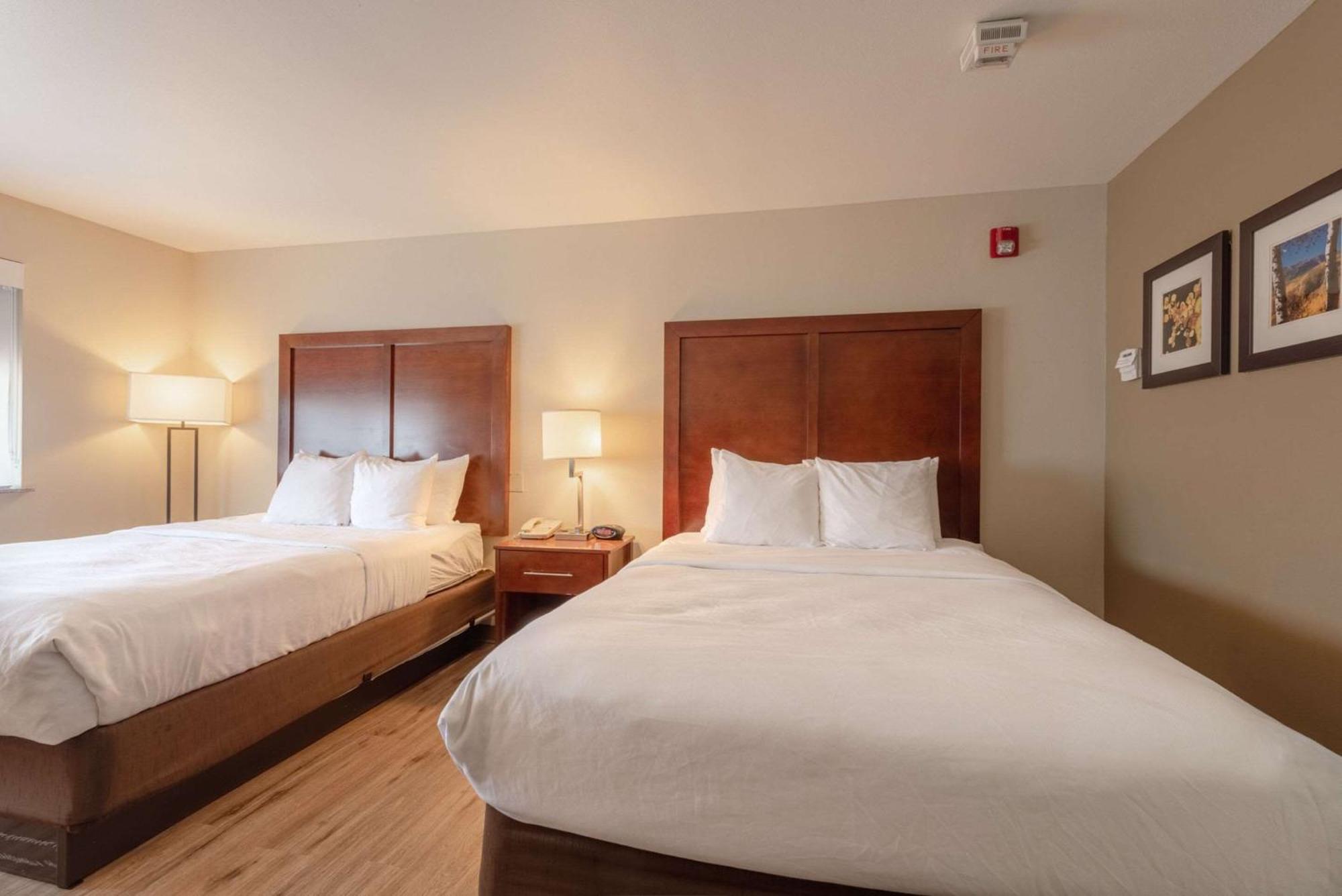 Comfort Inn & Suites Аламоса Екстер'єр фото
